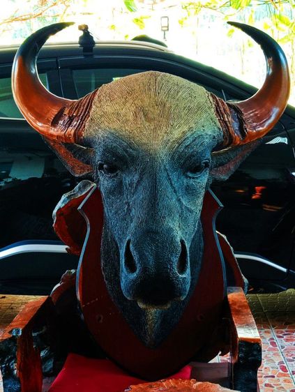 เก่าโบราณแท้เดิมใหญ่ยักษ์สภาพเยี่ยม