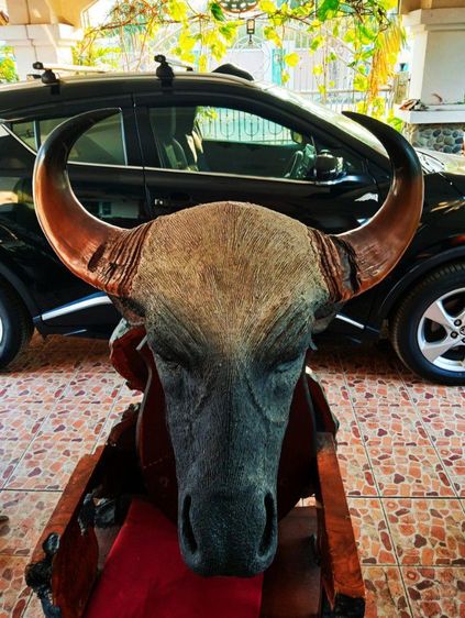 เก่าโบราณแท้เดิมใหญ่ยักษ์สภาพเยี่ยม รูปที่ 10