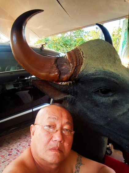 เก่าโบราณแท้เดิมใหญ่ยักษ์สภาพเยี่ยม รูปที่ 4