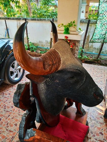 เก่าโบราณแท้เดิมใหญ่ยักษ์สภาพเยี่ยม รูปที่ 5