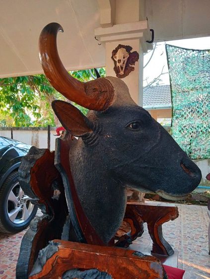 เก่าโบราณแท้เดิมใหญ่ยักษ์สภาพเยี่ยม รูปที่ 17