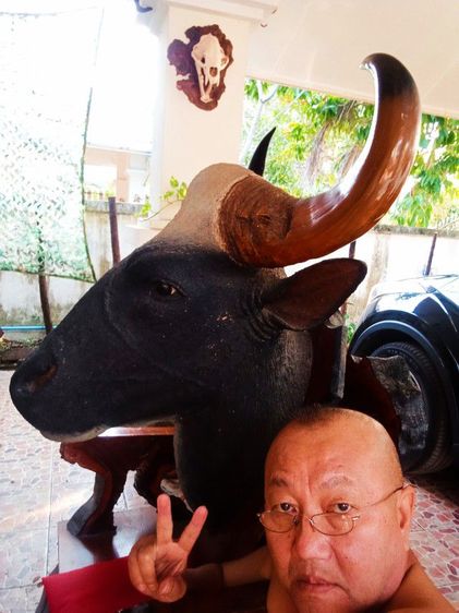 เก่าโบราณแท้เดิมใหญ่ยักษ์สภาพเยี่ยม รูปที่ 13