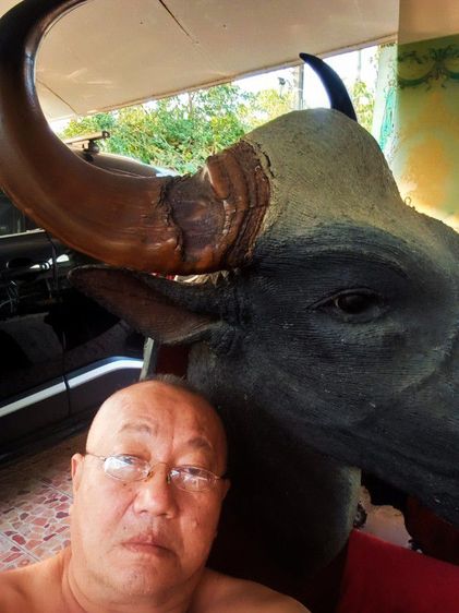 เก่าโบราณแท้เดิมใหญ่ยักษ์สภาพเยี่ยม รูปที่ 8