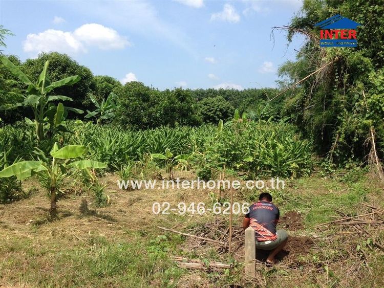 ไม่ใช่ ที่ดินเปล่า 2 ไร่ 93 ตร.ว. ที่ดิน ใกล้แควน้อย ถนนเลี่ยงเมืองกาญจนบุรี367 ถนนแสงชูโต ไทรโยค กาญจนบุรี รูปที่ 3