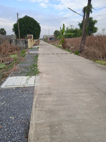 ที่ดินเปล่า 98 ตรว. โครงการจัดสรรทหารบก ซอย 7 ท่าตำหนัก กว้าง 12 x 30 เมตร