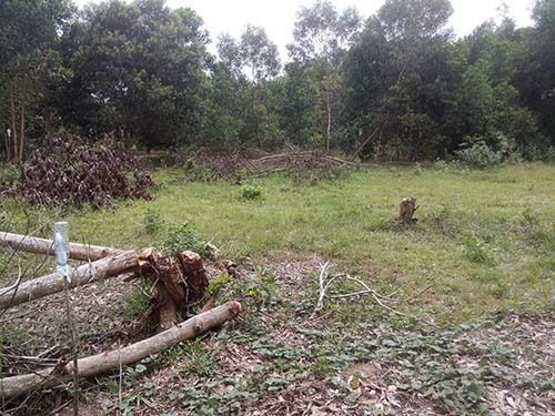 ที่ดินหลังเทศบาลแม่ขรี ใกล้แหล่งชุมชน ที่ดินทำเลทอง รูปที่ 2