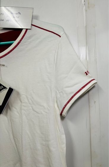 เสื้อยืดคอกลม alex lycra ของใหม่ รูปที่ 3