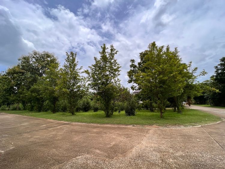 ที่ดินเปล่าติดน้ำ