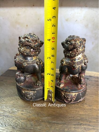 สิงห์ ทองเหลืองสะสม รูปที่ 9