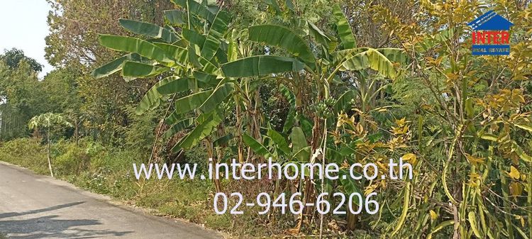 ไม่ใช่ ที่ดินเปล่า 100 ตร.ว. ที่ดินถนนคู้คลองสิบ ซอยองค์การบริหารส่วนจังหวัดปทุมธานี2006 ที่ดินถนนเลียบคลองสิบสามผั่งตะวันออก แขวงหนองจอก เขตหนองจอ รูปที่ 4