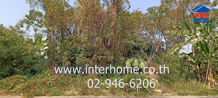 ไม่ใช่ ที่ดินเปล่า 100 ตร.ว. ที่ดินถนนคู้คลองสิบ ซอยองค์การบริหารส่วนจังหวัดปทุมธานี2006 ที่ดินถนนเลียบคลองสิบสามผั่งตะวันออก แขวงหนองจอก เขตหนองจอ รูปที่ 3