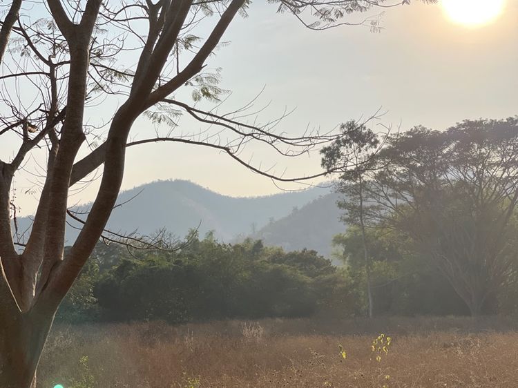 ขายที่ดินติดแม่น้ำเพชรบุรี โซนล่องเรือยาง โฉนดครุฑแดง 10 ไร่ บวกที่งอกอีก 3 ไร่  รูปที่ 3