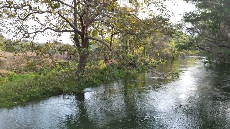 ขายที่ดินติดแม่น้ำเพชรบุรี โซนล่องเรือยาง โฉนดครุฑแดง 10 ไร่ บวกที่งอกอีก 3 ไร่ 