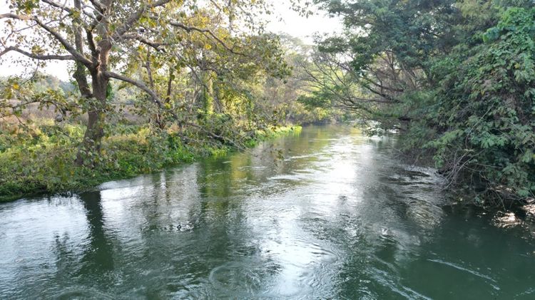 ขายที่ดินติดแม่น้ำเพชรบุรี โซนล่องเรือยาง โฉนดครุฑแดง 10 ไร่ บวกที่งอกอีก 3 ไร่  รูปที่ 2