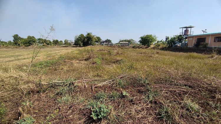ที่ดิน รูปที่ 3