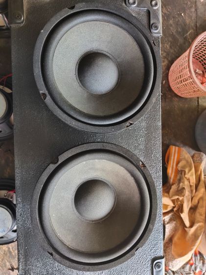 ดอกลำโพงซับ Bostwick ขนาด 8 นิ้ว รูปที่ 2