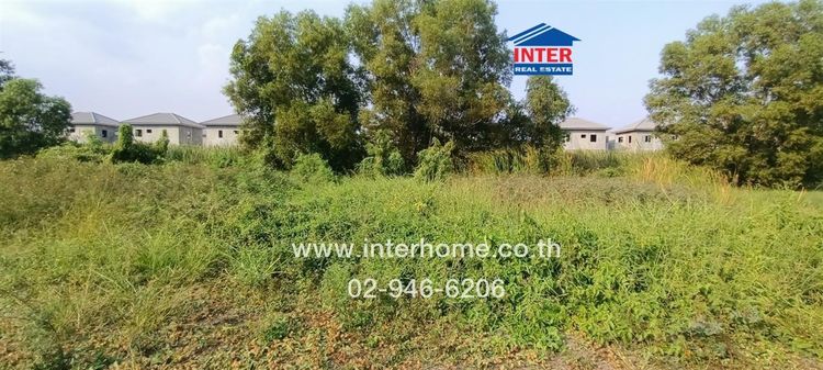 ไม่ใช่ ที่ดินเปล่า 100 ตร.ว. ที่ดิน ซอยไสวประชาราษฎร์37 ถนนลำลูกกา ถนนพระองค์เจ้าสาย คลอง4 ลำลูกกา ปทุมธานี รูปที่ 3