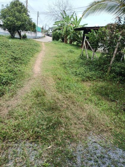 ที่ดินทำเลทอง 19.6 ตรว. บ้านพรุ หาดใหญ่ ใกล้ถนนใหญ่-สนามบิน รูปที่ 2