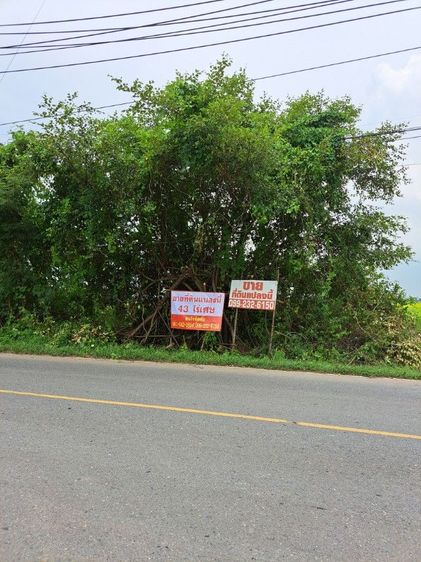 ขายที่ดิน41ไร่เศษค่าโอนคนละครึ้ง