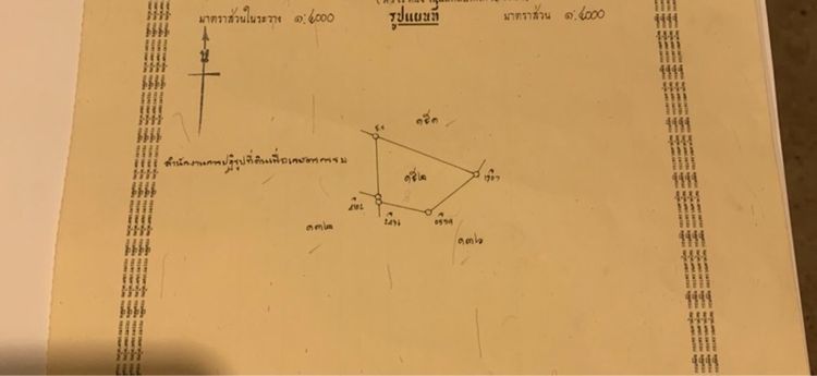 หัวหวาย ตาคลี นครสวรรค์ รูปที่ 4