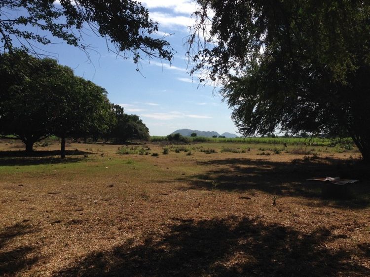 หัวหวาย ตาคลี นครสวรรค์ รูปที่ 2