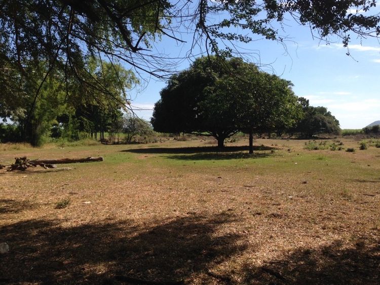 หัวหวาย ตาคลี นครสวรรค์