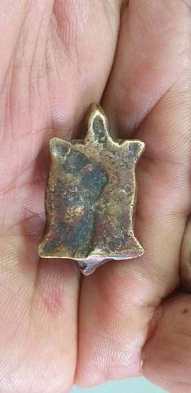 เต่าเรือน เนื้อสำฤทิ์ แก่ทอง หลวงพ่อเงิน วัดบางคลาน รูปที่ 4