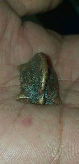 เต่าเรือน เนื้อสำฤทิ์ แก่ทอง หลวงพ่อเงิน วัดบางคลาน รูปที่ 5