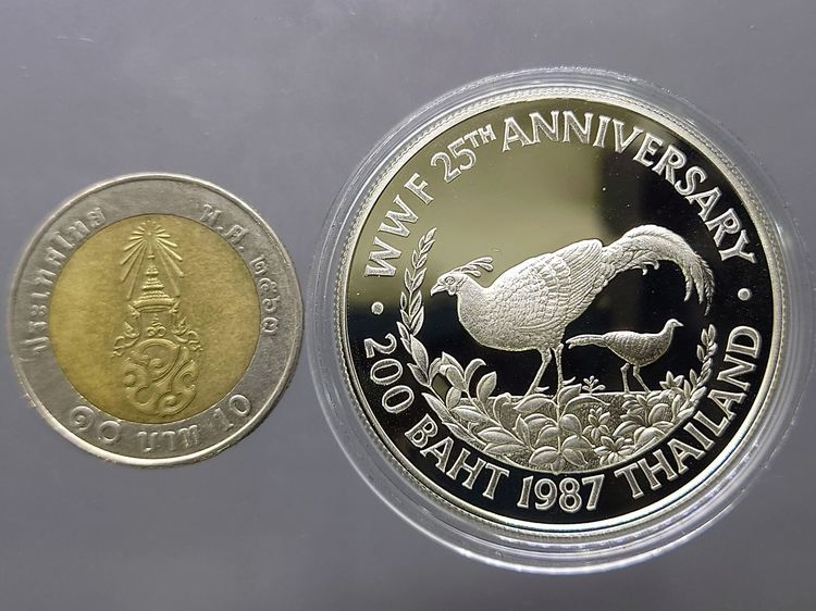 เหรียญเงินขัดเงา 200 บาท ที่ระลึกครบรอบ 25 ปี กองทุนคุ้มครองสัตว์ป่าโลก ไก่ฟ้า ปี 2530 พร้อมใบเซอร์ สภาพสวย รูปที่ 6