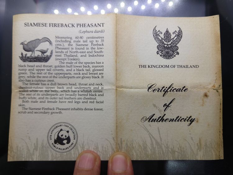 เหรียญเงินขัดเงา 200 บาท ที่ระลึกครบรอบ 25 ปี กองทุนคุ้มครองสัตว์ป่าโลก ไก่ฟ้า ปี 2530 พร้อมใบเซอร์ สภาพสวย รูปที่ 8