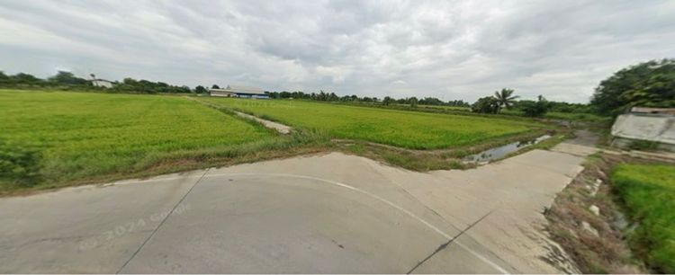 ขายที่ดิน 30ไร่ รูปที่ 4