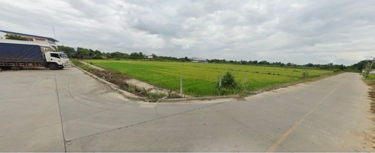 ขายที่ดิน 30ไร่ รูปที่ 3