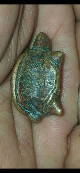 เต่าเรือน เนื้อสำฤทิ์ แก่ทอง หลวงพ่อเงิน วัดบางคลาน รูปที่ 10