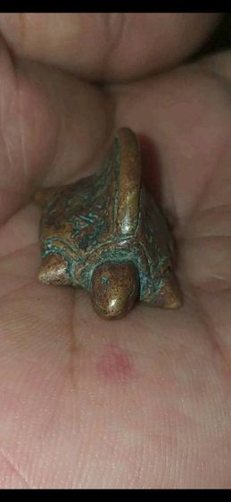 เต่าเรือน เนื้อสำฤทิ์ แก่ทอง หลวงพ่อเงิน วัดบางคลาน