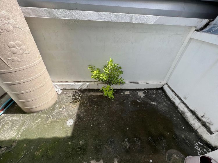 ใช่ 💖 ทาวน์เฮ้าส์ หนองแค ราคาพิเศษ! 💖 รูปที่ 3