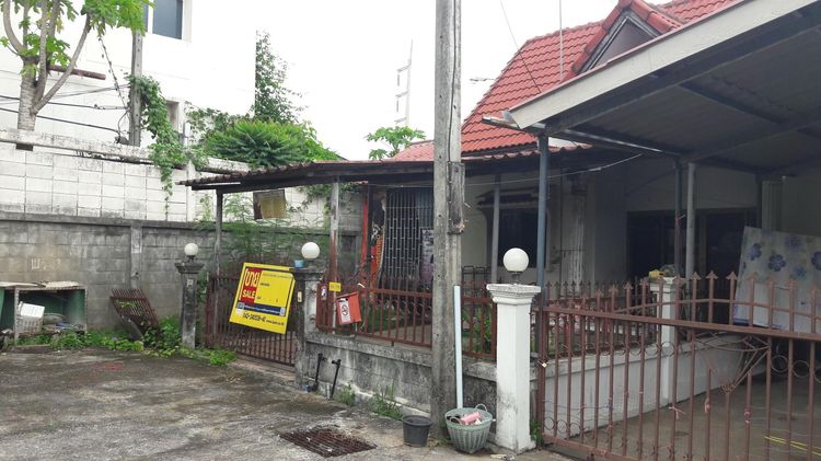 āđāļāđ ð āļāļēāļ§āļāđāđāļŪāđāļēāļŠāđ āđāļĄāļ·āļāļāļŦāļāļāļāļāļąāļ§āļĨāļģāļ āļđ āļĢāļēāļāļēāļāļīāđāļĻāļĐ! ð āļĢāļđāļāļāļĩāđ 3