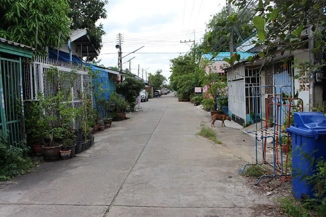 ใช่ 💖 ทาวน์เฮ้าส์ ธัญบุรี ราคาพิเศษ! 💖 รูปที่ 4