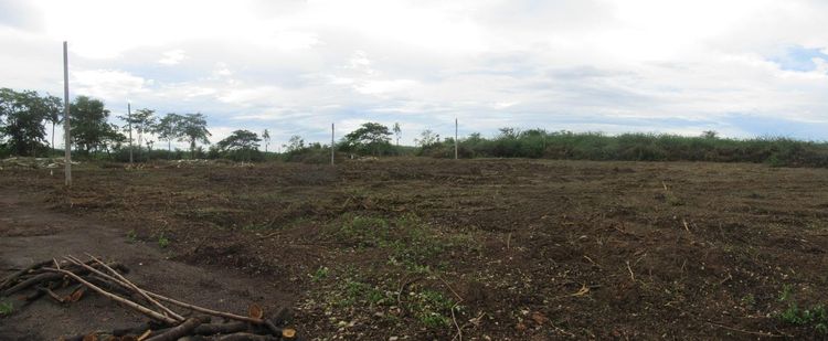 ใช่ 💖 ที่ดิน ท่ายาง ราคาพิเศษ! 💖 รูปที่ 4