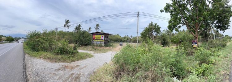 ใช่ 💖 ที่ดิน ทับสะแก ราคาพิเศษ! 💖 รูปที่ 4