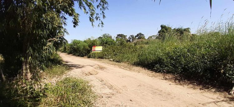 💖 ที่ดิน แม่จัน ราคาพิเศษ! 💖