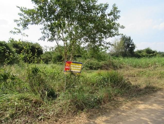 ใช่ 💖 ที่ดิน วังสะพุง ราคาพิเศษ! 💖 รูปที่ 3