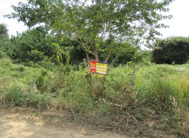 ใช่ 💖 ที่ดิน วังสะพุง ราคาพิเศษ! 💖