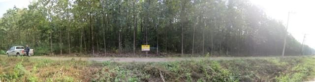 ใช่ 💖 ที่ดิน ชัยบาดาล ราคาพิเศษ! 💖 รูปที่ 2