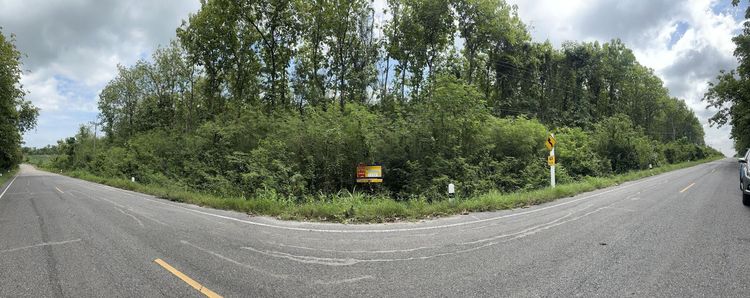 ใช่ 💖 ที่ดิน ชัยบาดาล ราคาพิเศษ! 💖 รูปที่ 2