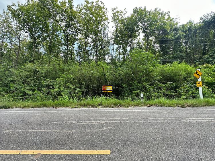 💖 ที่ดิน ชัยบาดาล ราคาพิเศษ! 💖