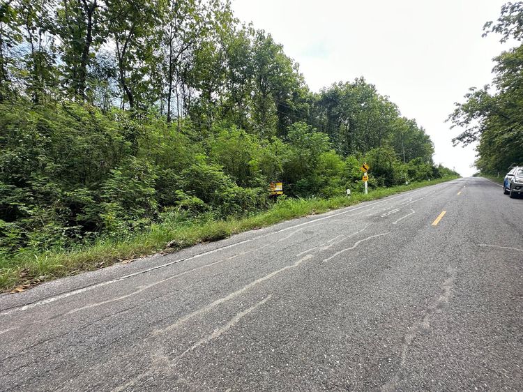 ใช่ 💖 ที่ดิน ชัยบาดาล ราคาพิเศษ! 💖 รูปที่ 3