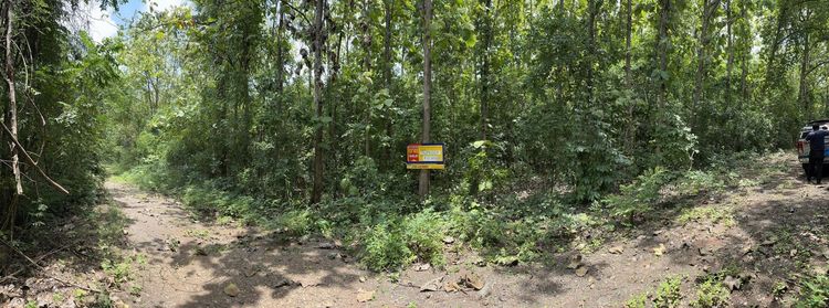 💖 ที่ดิน ชัยบาดาล ราคาพิเศษ! 💖