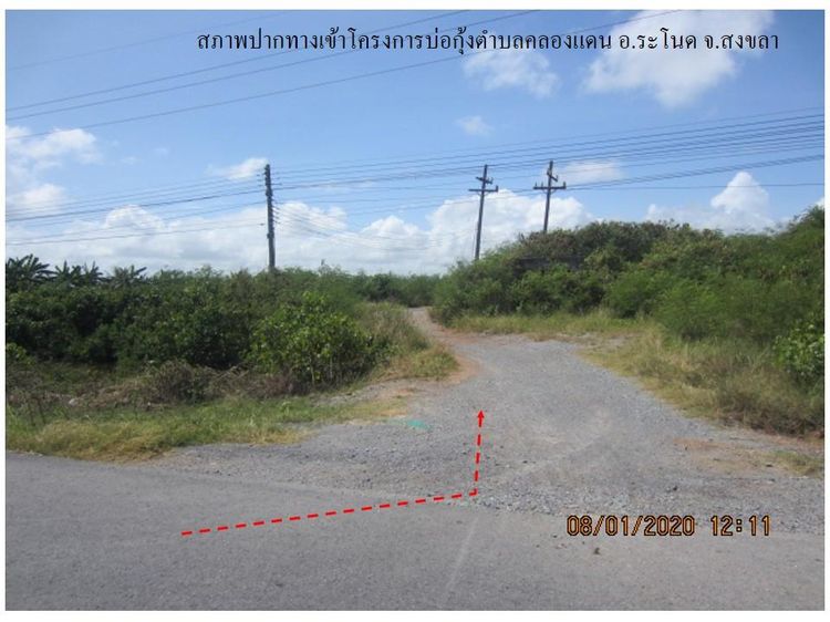 ใช่ 💖 ที่ดิน ระโนด ราคาพิเศษ! 💖 รูปที่ 4