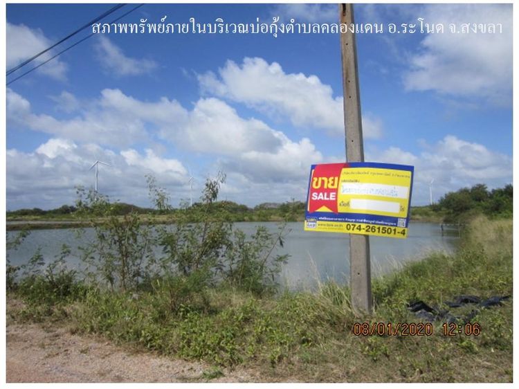 ใช่ 💖 ที่ดิน ระโนด ราคาพิเศษ! 💖 รูปที่ 4