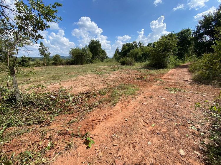 ใช่ 💖 ที่ดิน เขาสวนกวาง ราคาพิเศษ! 💖 รูปที่ 4